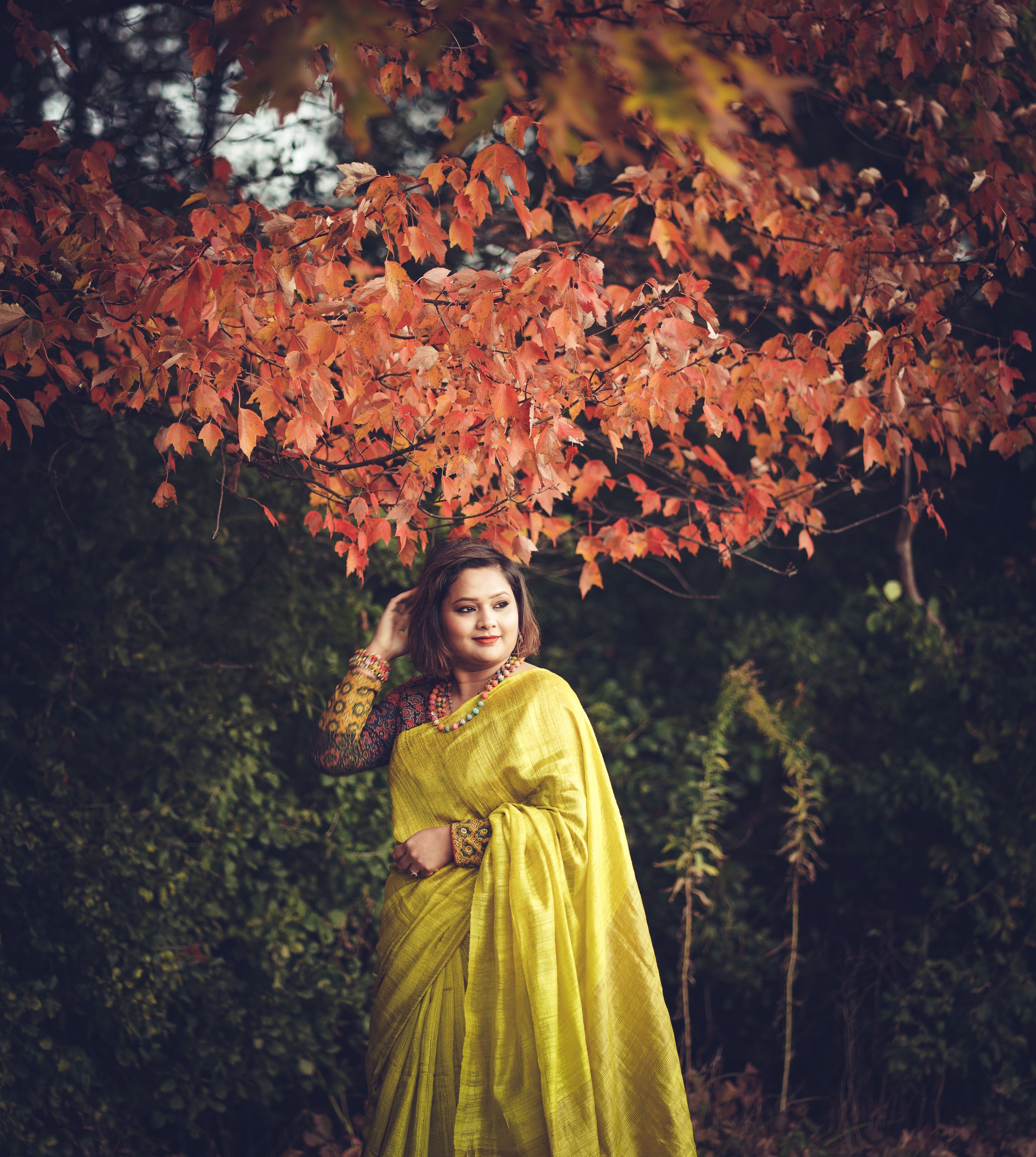 Elegant Woman in Saree Under Autumn Leaves · Free Stock Photo