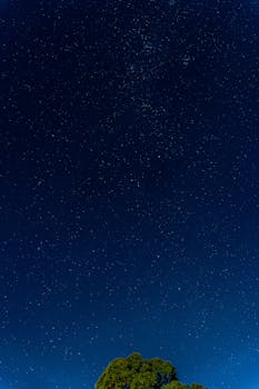 Beautiful starry night sky with bright stars over trees in Uruguay.