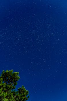 Beautiful starry night sky over a serene landscape in Uruguay, featuring twinkling stars and lush trees.