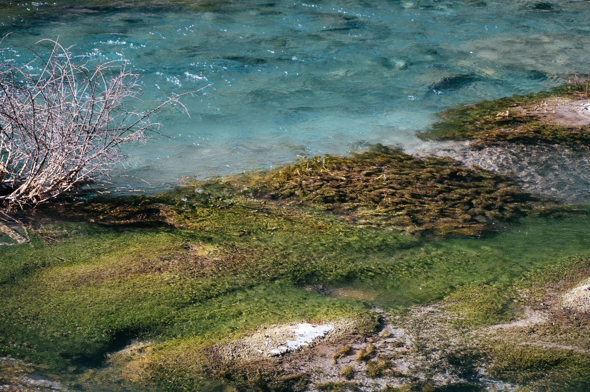 Experts controleren zwemwater op blauwalg en poepbacteriën