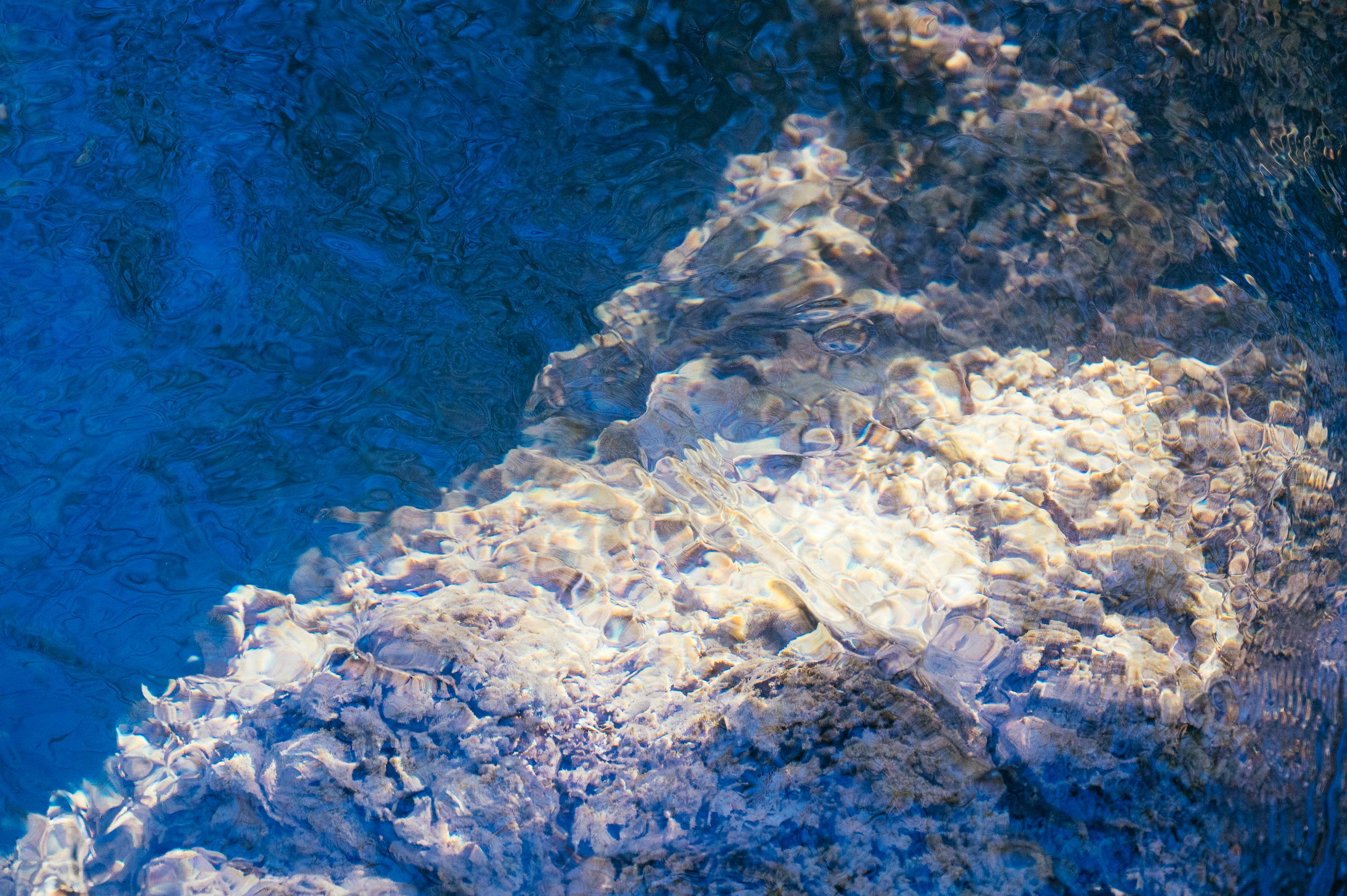 gratis Close-up van het helderblauwe water, waarbij de textuur van de rotsachtige zeebodem goed te zien is. Stockfoto