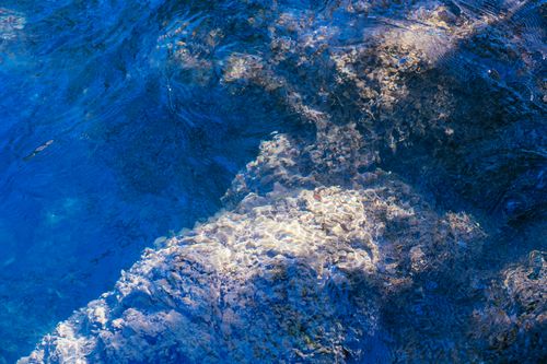 Free A vivid underwater view of coral and shimmering blue water, showcasing natural beauty. Stock Photo