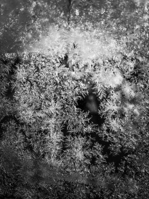 Free Intricate frosty ice patterns on a window in monochrome, showcasing natural artistry. Stock Photo