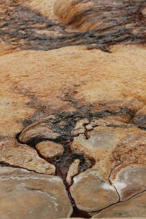Free Detailed view of natural stone surface with unique textures and colors. Stock Photo