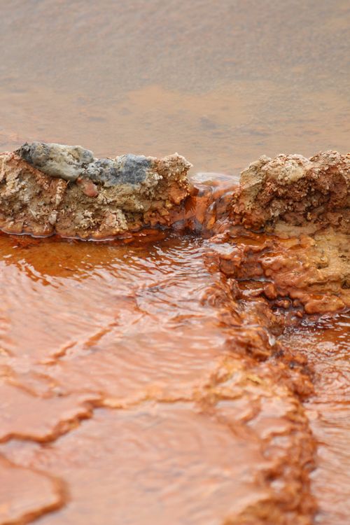 Rust Colored Stream Close-up of Rusty Stream in Natural Setting · Free Stock Photo