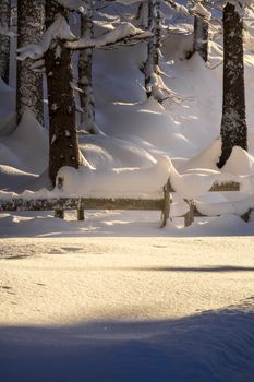 Tranquil winter scene with snow-laden pine trees and wooden fence in a golden sunset.