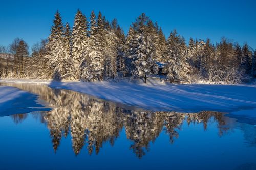 Free Snow-covered pines reflect on a tranquil lake under a clear blue sky. Stock Photo