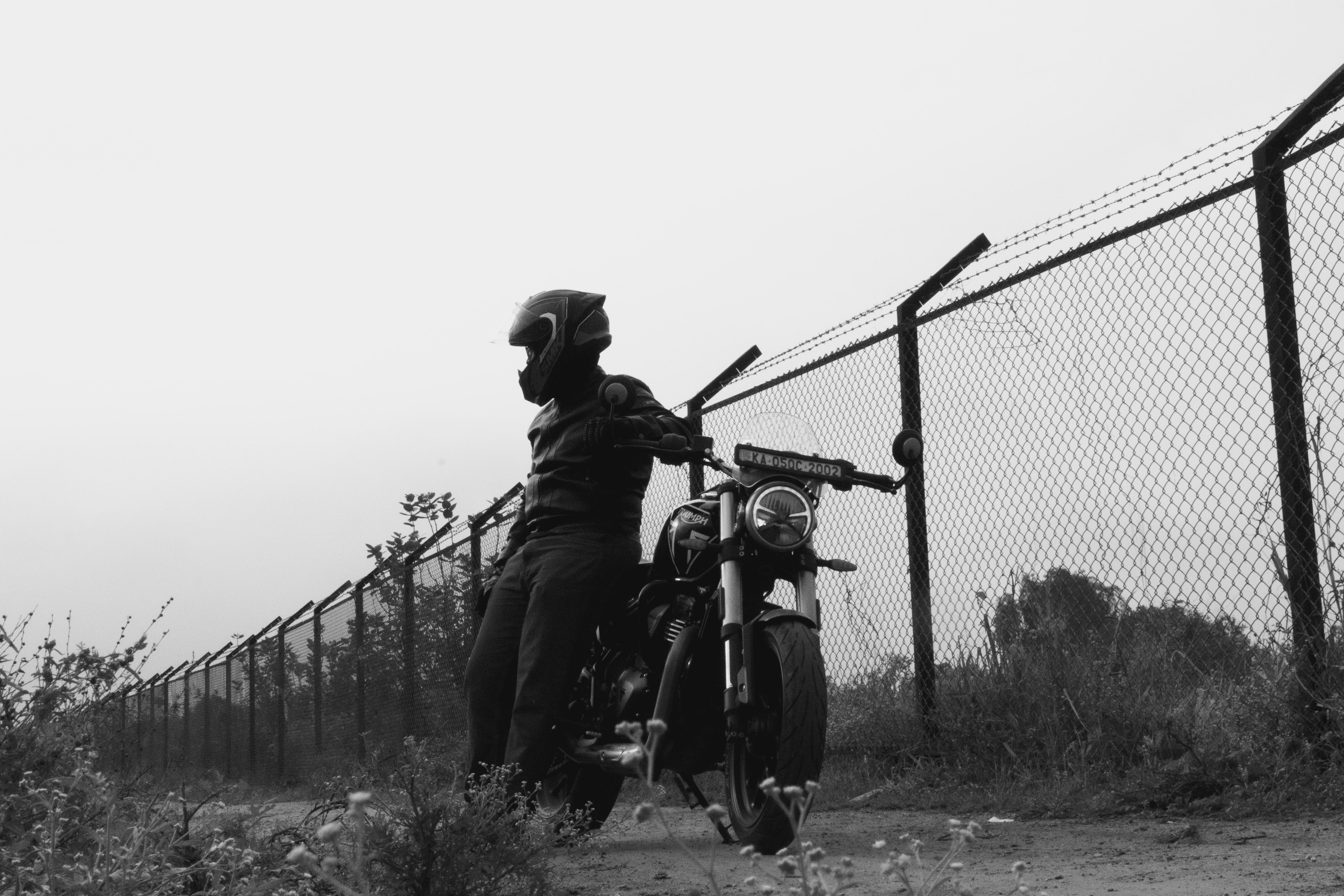 The Beast in Me movie review &amp; film summary — Photo by Suhas Hanjar on Pexels