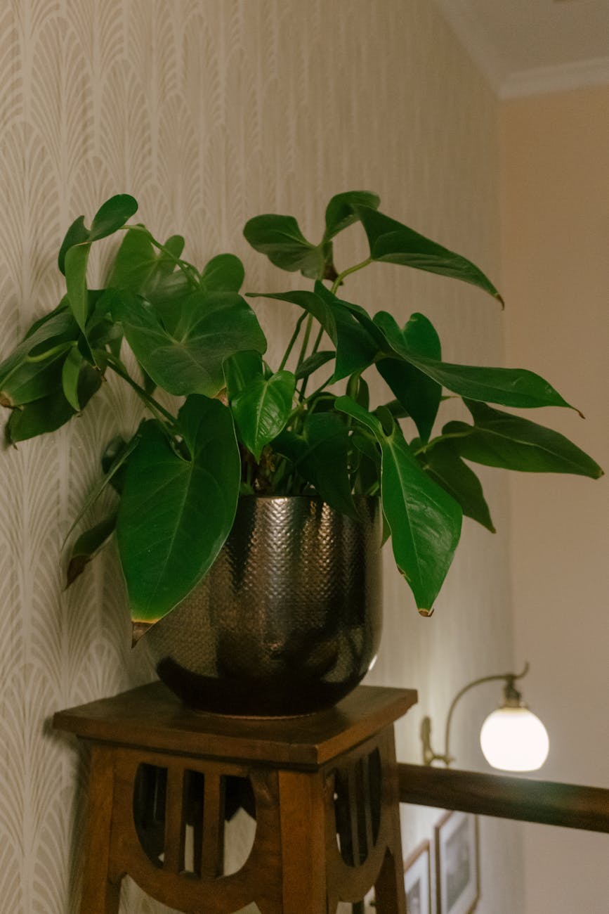 The 8 Best Plant Stands for Your Home Decor & Aesthetics in 2026: Review & Comparison