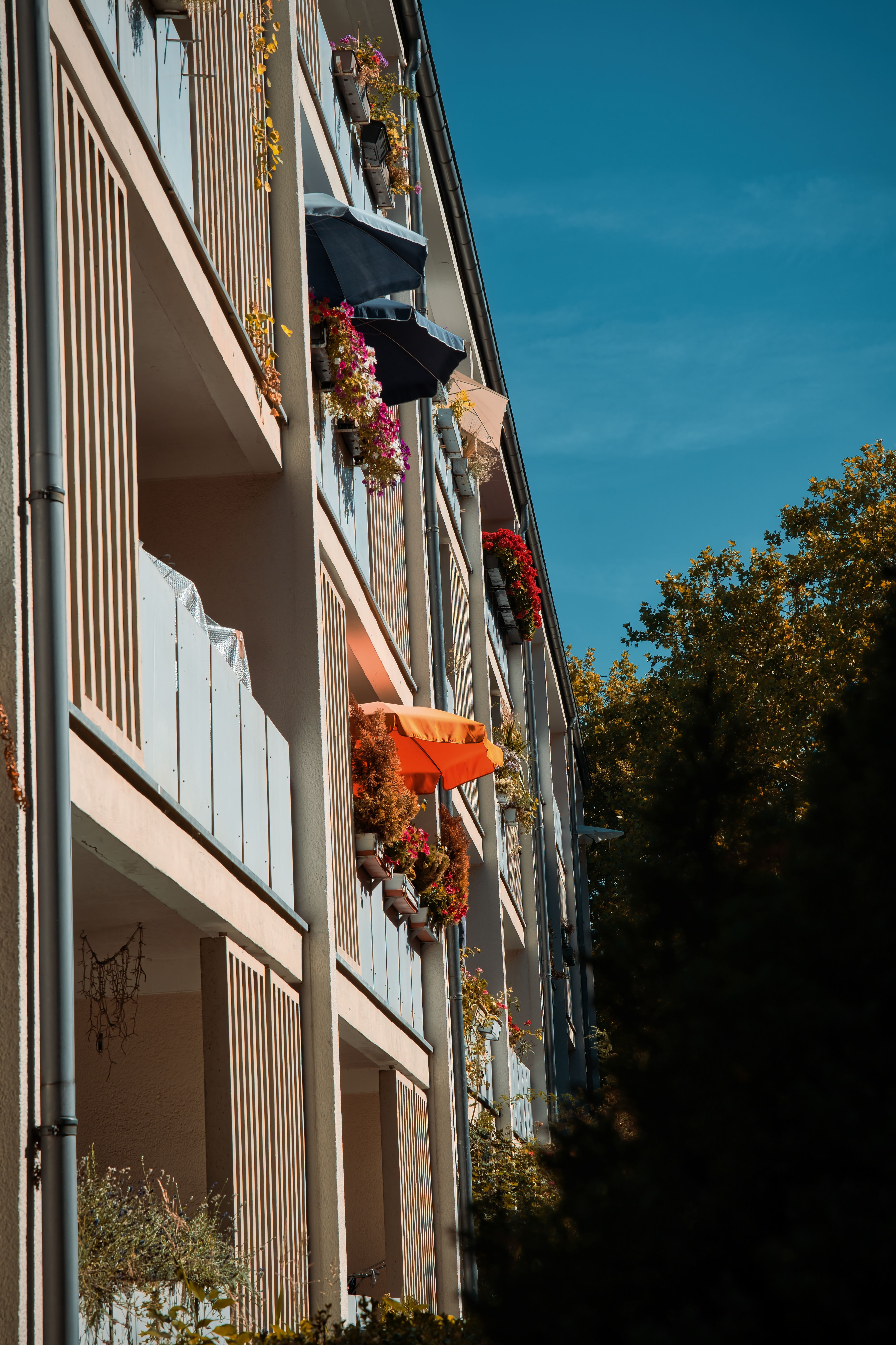 Free Vibrant balconies adorned with flowers in Berlin's Hansaviertel on a sunny day. Stock Photo