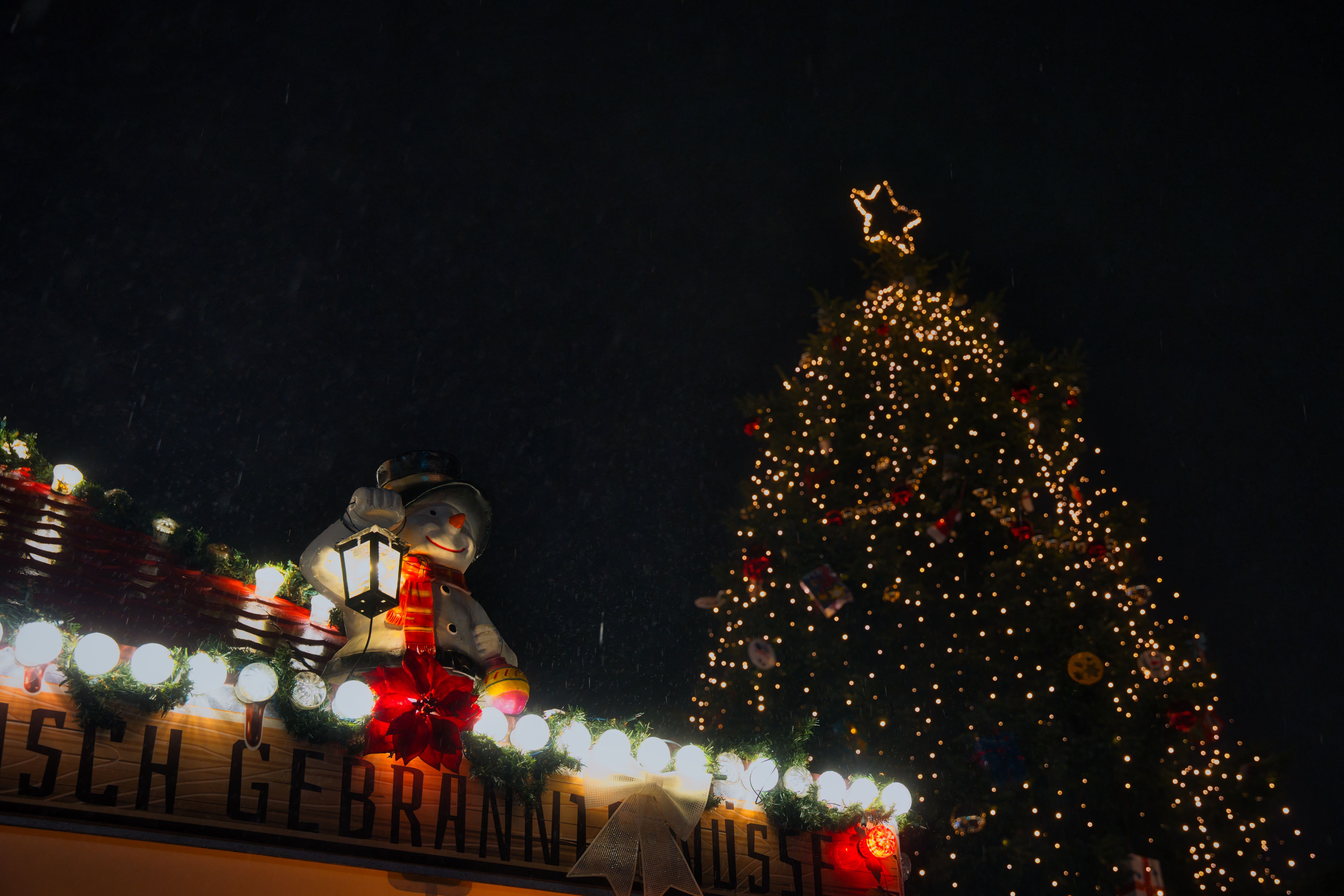 Bolzano Christmas Market (Weihnachtsmarkt)