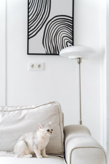 A serene living room with a cat on a couch and abstract wall art, perfect for chic interiors.