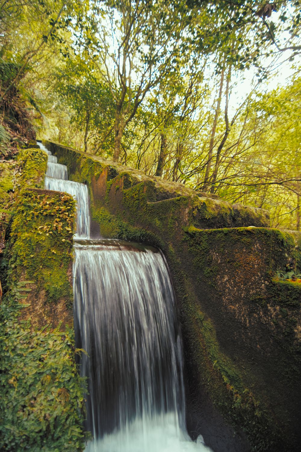 Cascadă liniștită în pădurea luxuriantă din Madeira