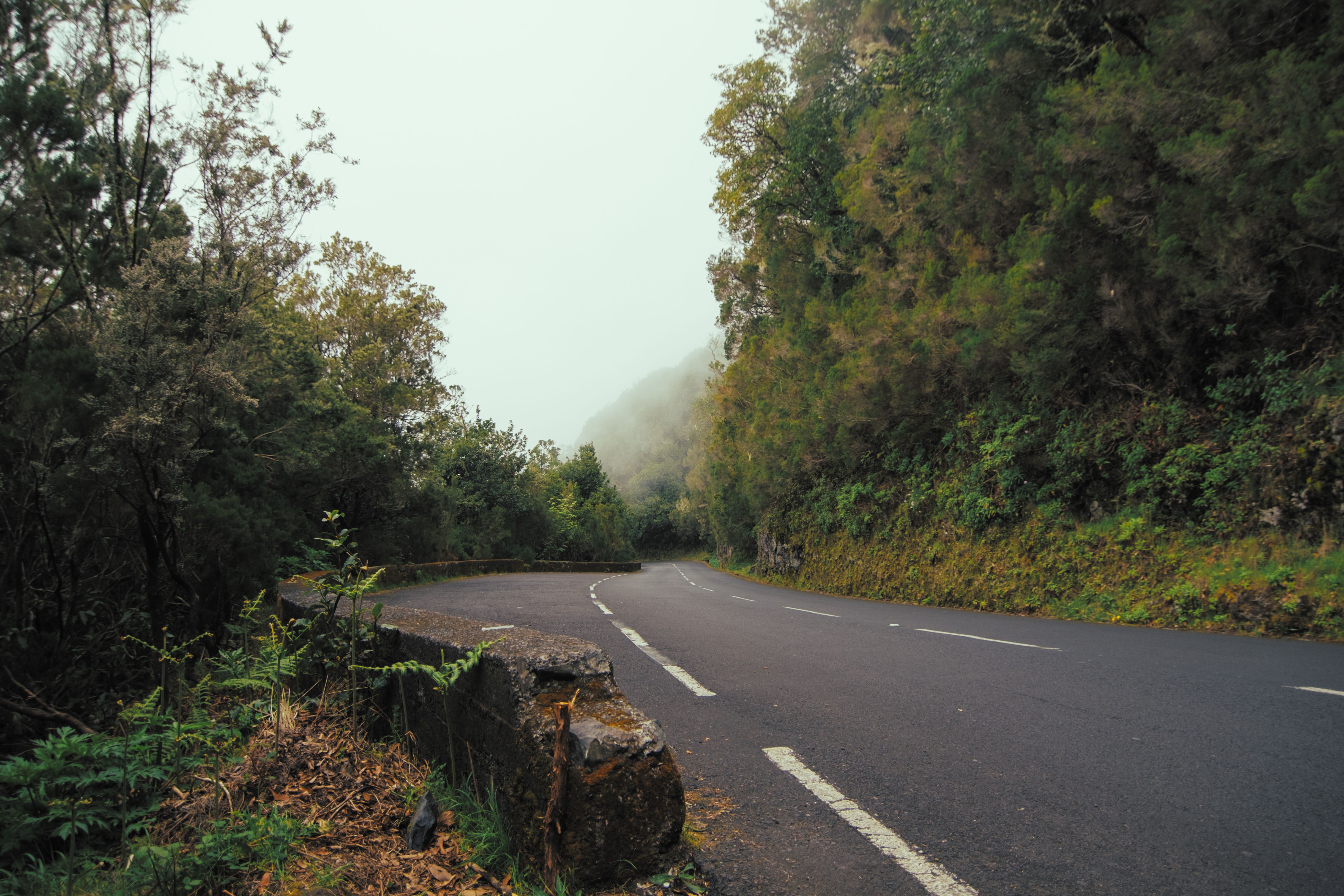 Winding mountain road through lush Madeira Portugal