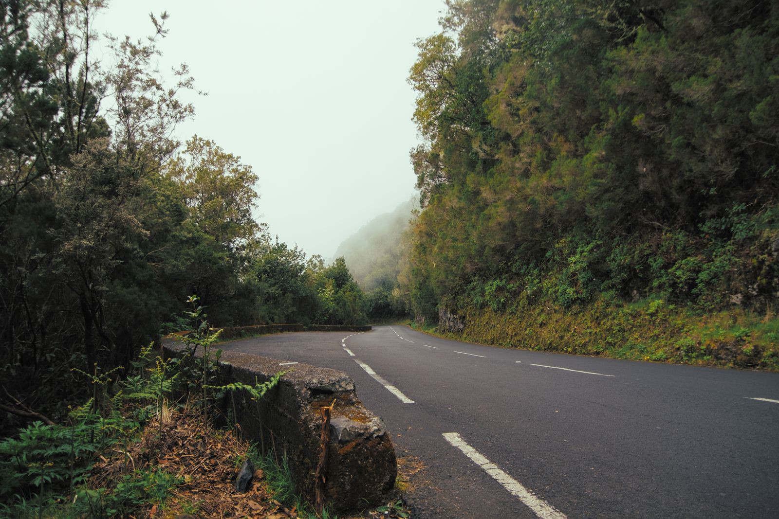 Winding mountain road through lush Madeira Portugal
