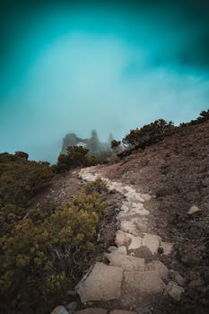 Explore a misty mountain trail in Madeira, Portugal, surrounded by lush greenery and dramatic skies.