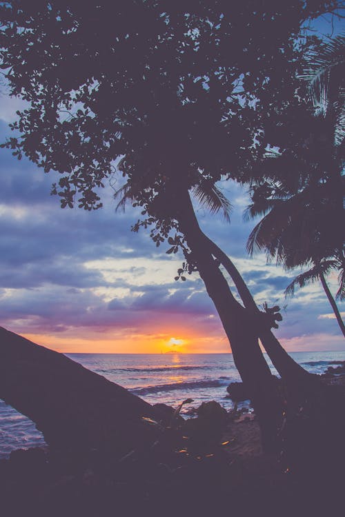 tumblr backgrounds beach sunset