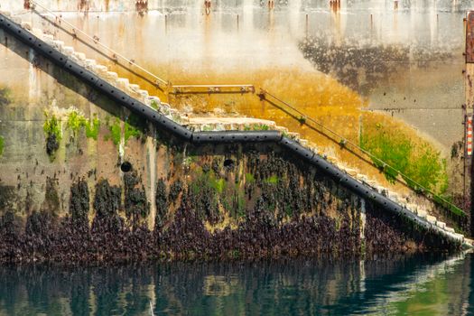 Aged quay stairs covered with marine growth descending into calm water.
