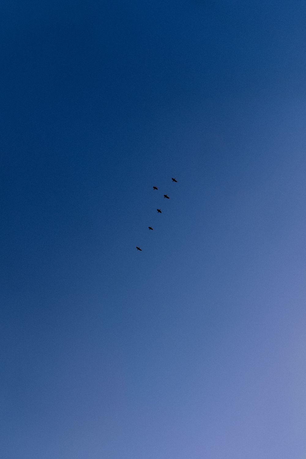 Over Flocking Birds Flocking Over Broadstairs Sky · Free Stock Photo