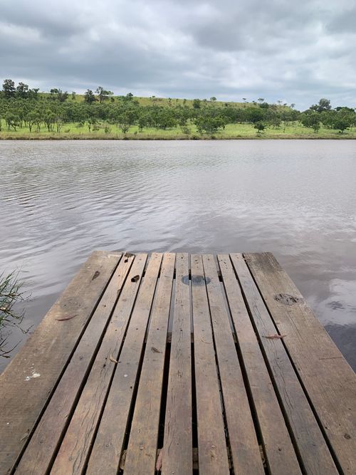 Free A peaceful wooden dock stretching into a calm lake, surrounded by greenery. Stock Photo
