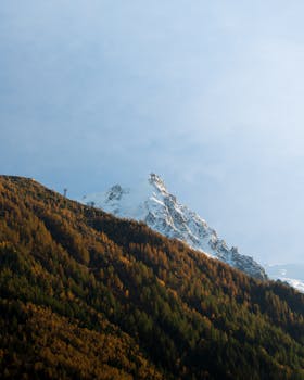 Captivating view of Chamonix-Mont-Blanc during golden hour, highlighting autumn foliage and snowy peaks.