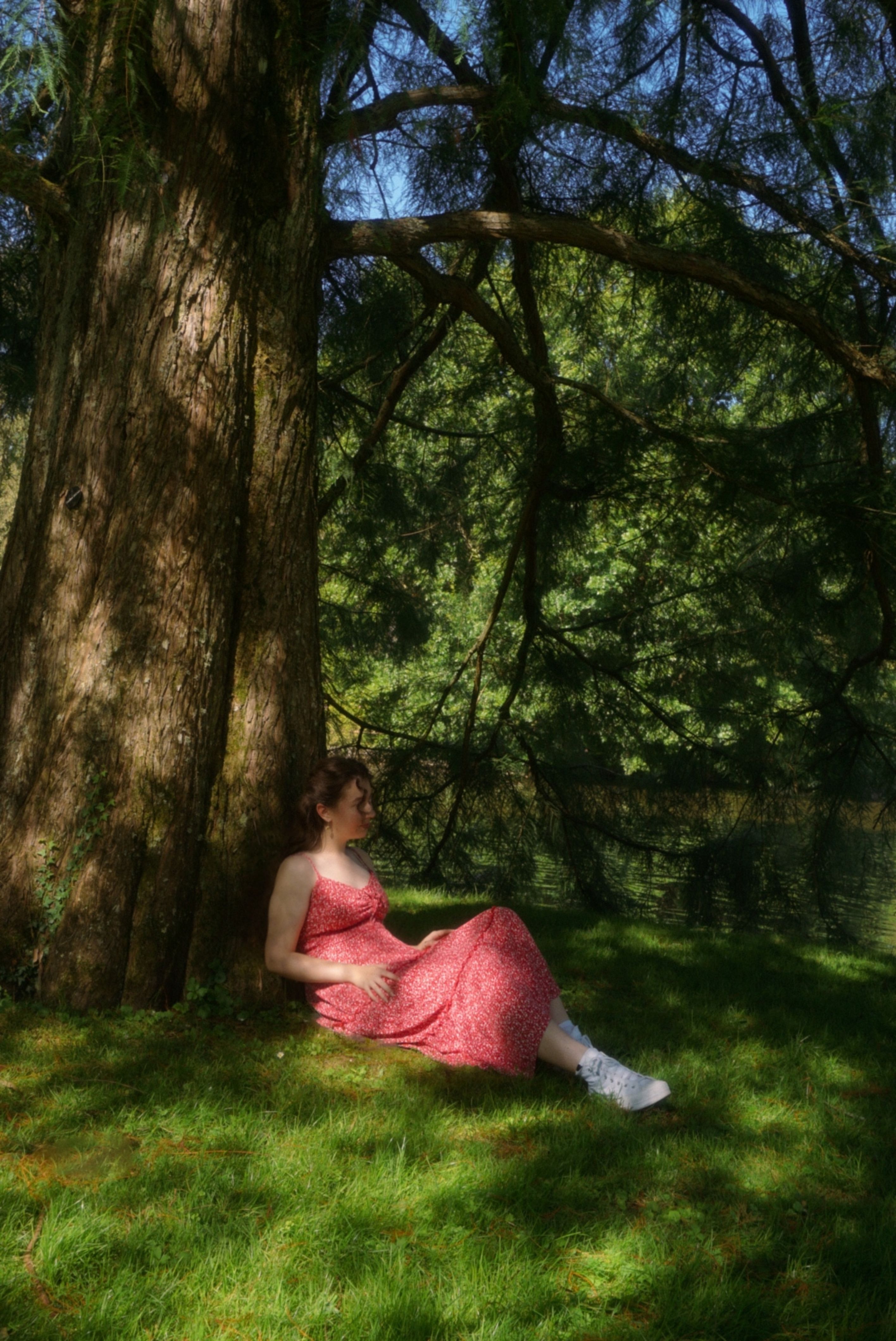 Woman Relaxing Under Tree in Summer Park · Free Stock Photo