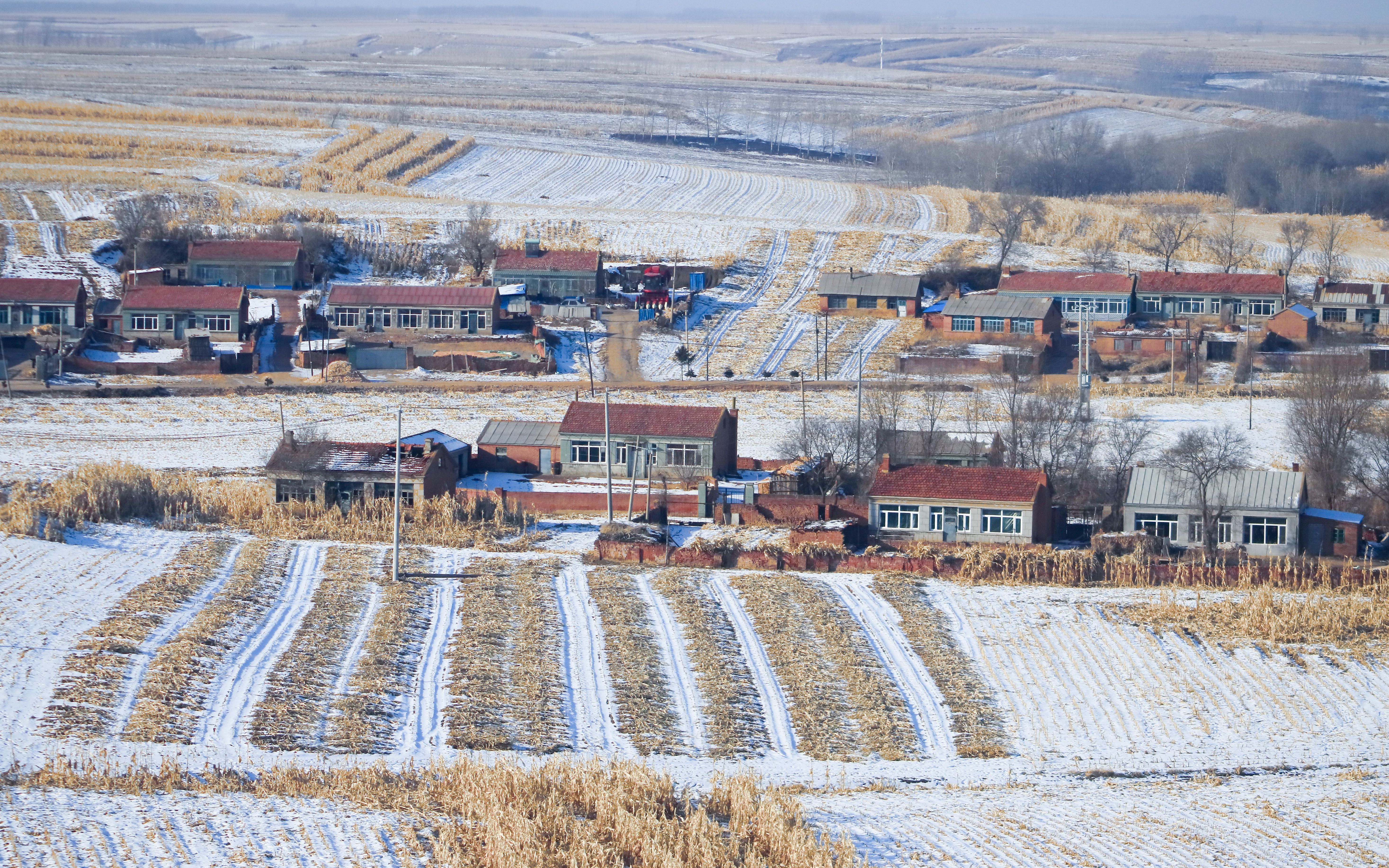 Rural Winter Landscape with Snow-Covered Fields · Free Stock Photo