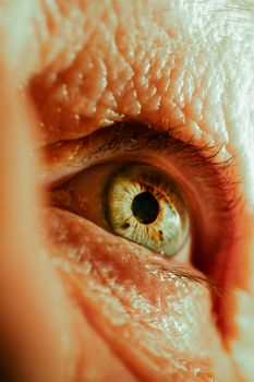 Detailed macro close-up image of an aging human eye with visible eye and skin texture.