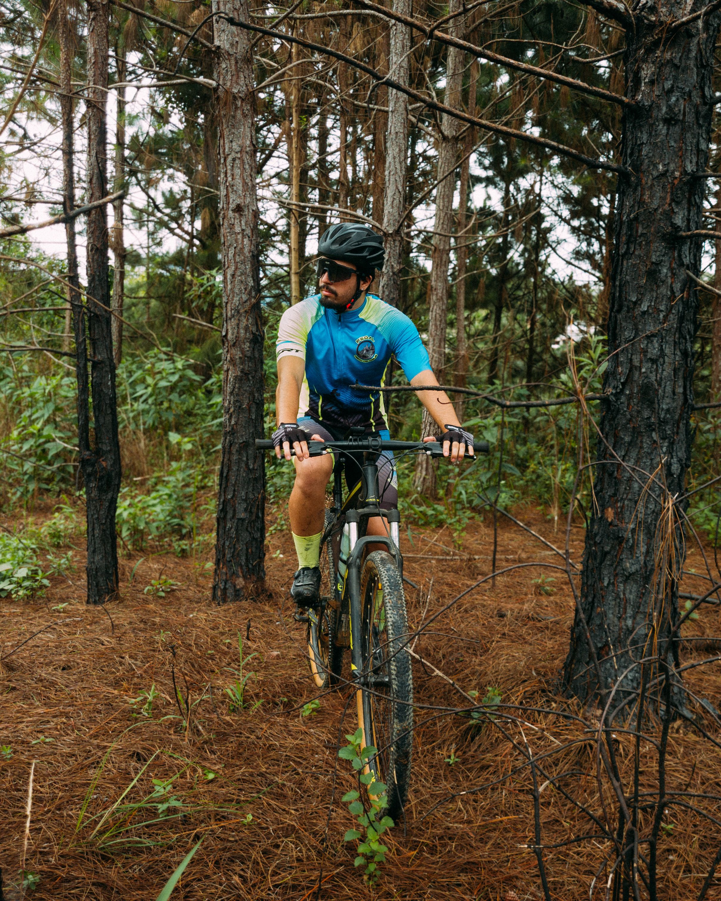 Adult mountain biker riding through a lush, green forest on a sunny day.