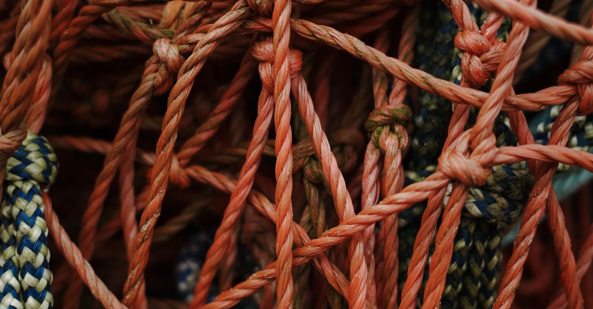 Colorful Rope Nets Close-up of Colorful Fishing Nets with Ropes · Free Stock Photo