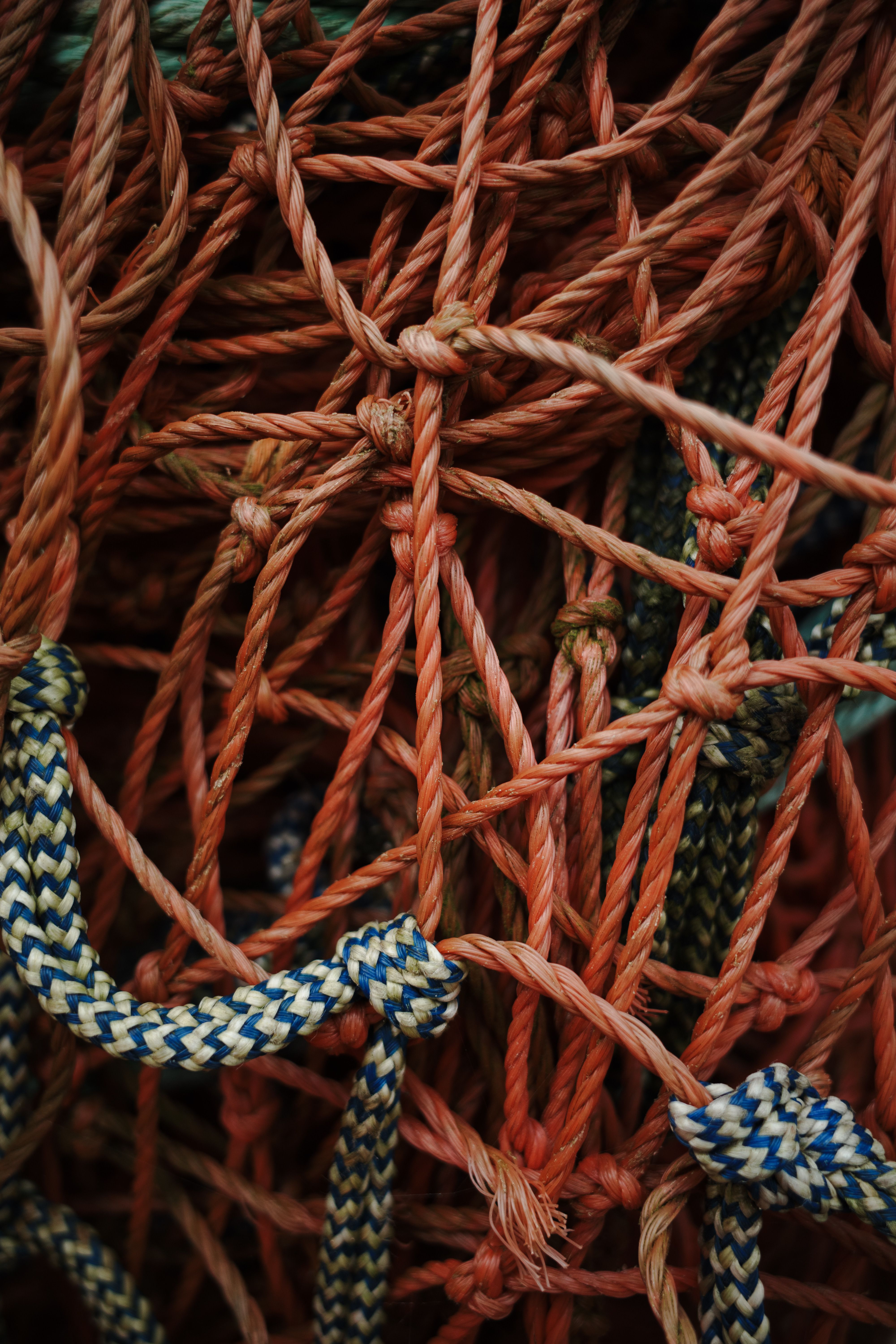 Close-up of Colorful Fishing Nets with Ropes · Free Stock Photo