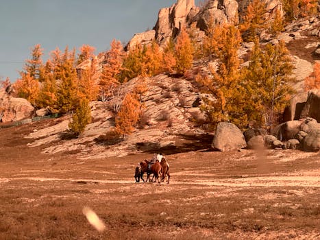 Ulaanbaatar, Mongolia photo 11