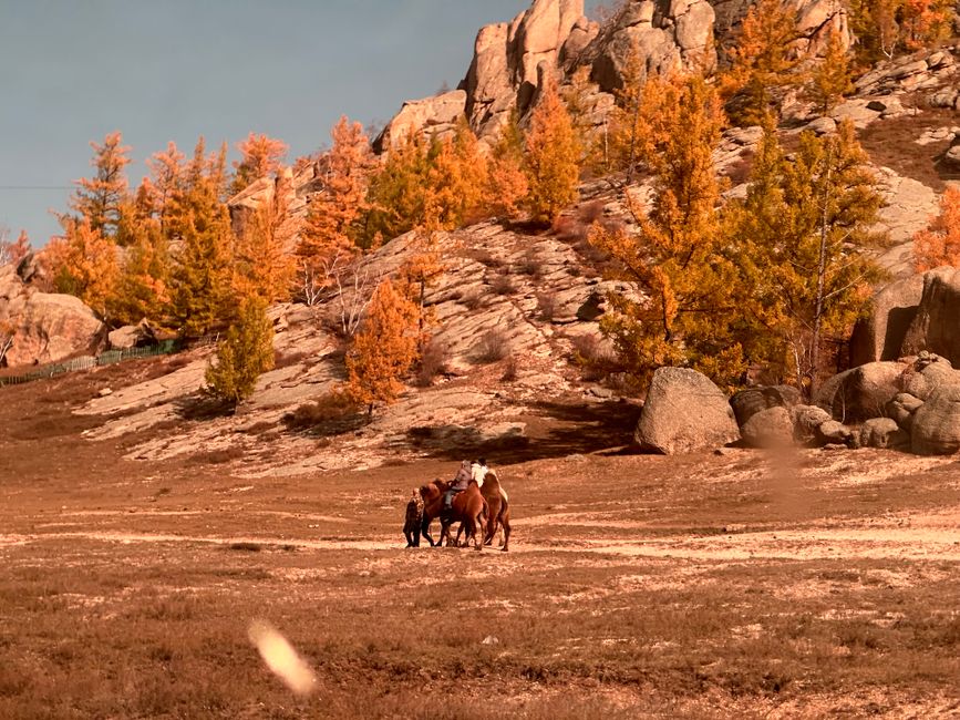Équitation dans la Vallée de l'Orkhon