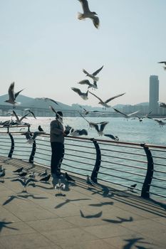 A man surrounded by seagulls on a sunny day by the ocean in Busan, South Korea.