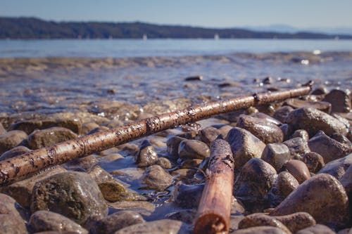 Free stock photo of alps, driftwood, lake