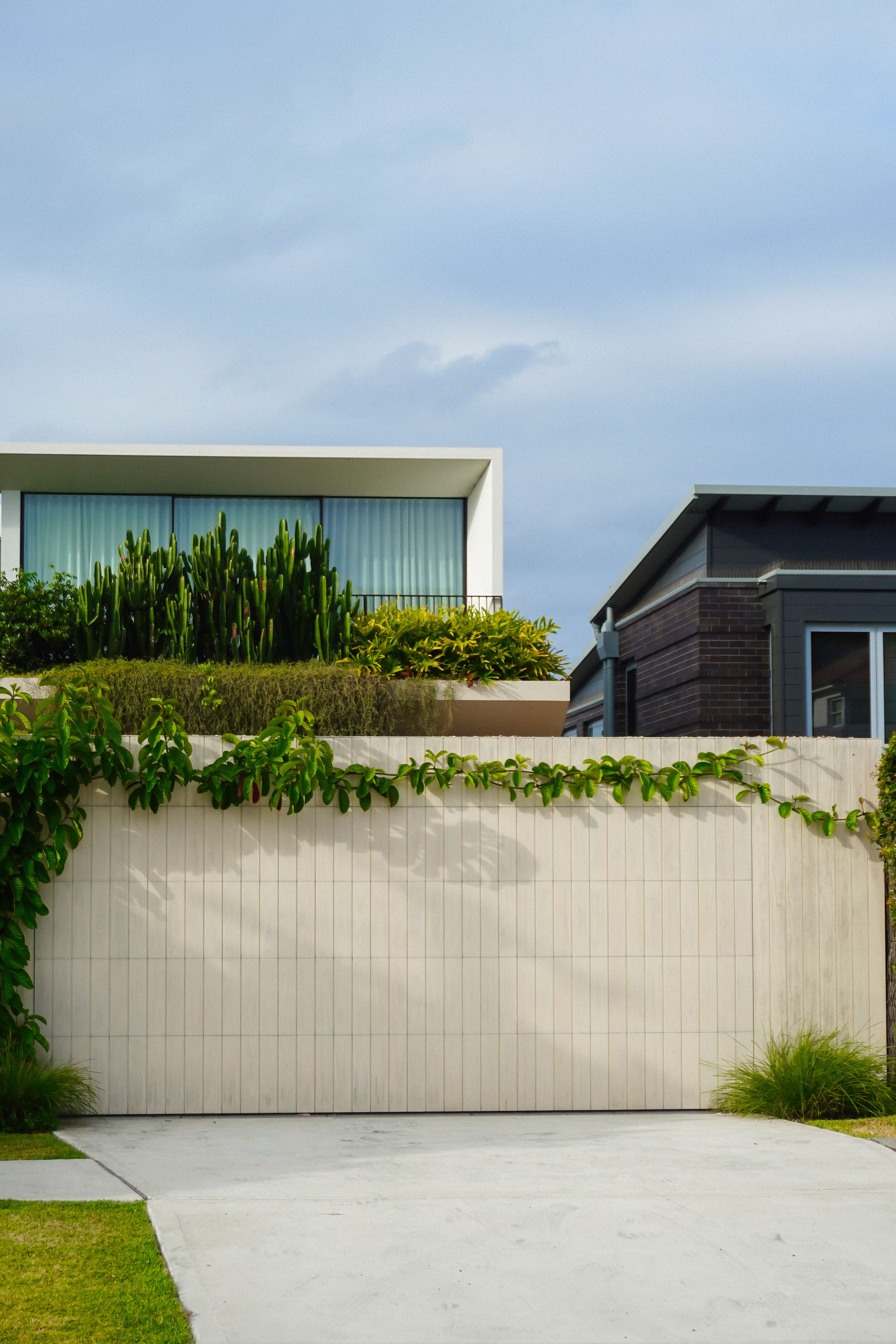 Modern Tropical House with Lush Greenery · Free Stock Photo