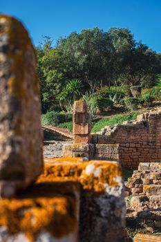 Scenic view of ancient ruins surrounded by lush greenery under a clear blue sky.