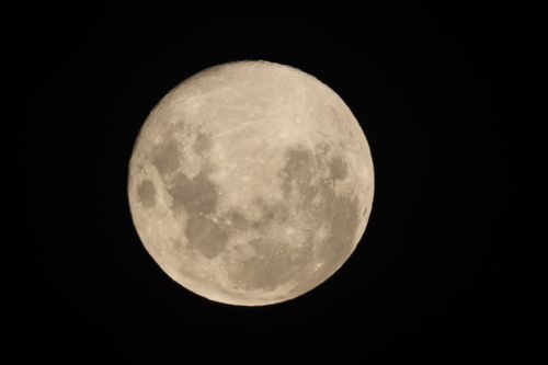 Free Detailed view of a full moon against a pitch-black night sky. Stock Photo