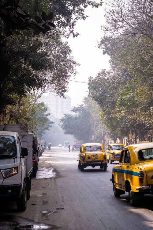 Free Yellow taxis and bustling street in Kolkata, India, showcasing vibrant urban life. Stock Photo
