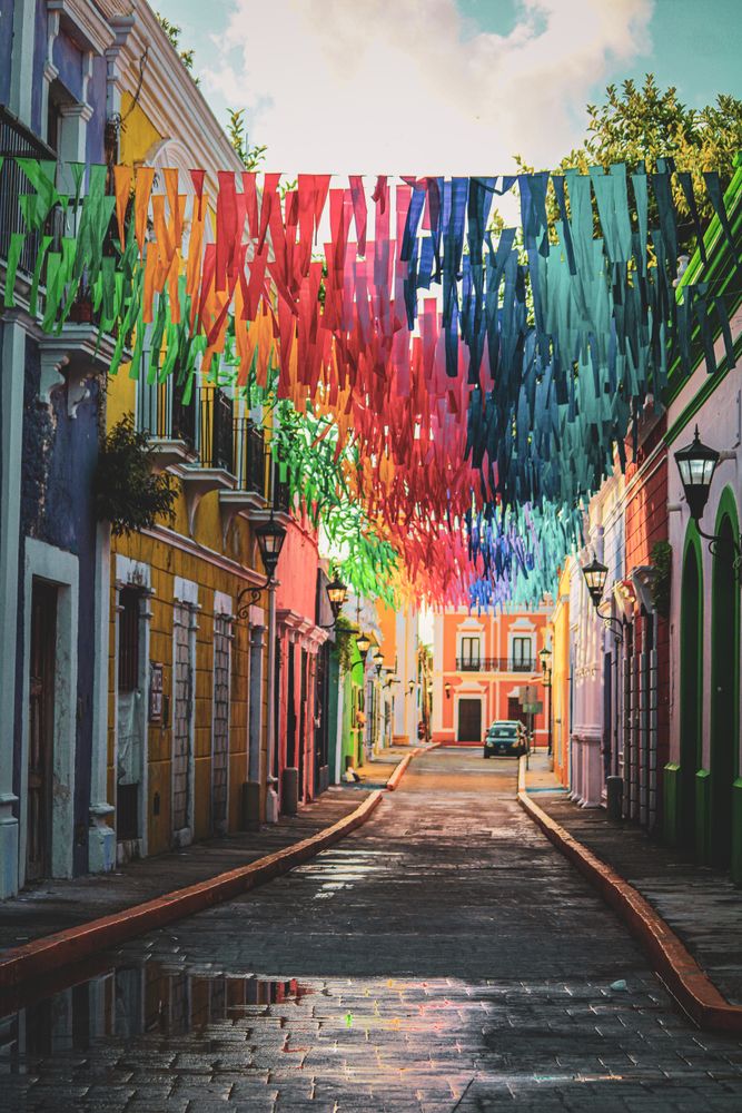 Colorful Scene Photos, Download The BEST Free Colorful Scene Stock ...