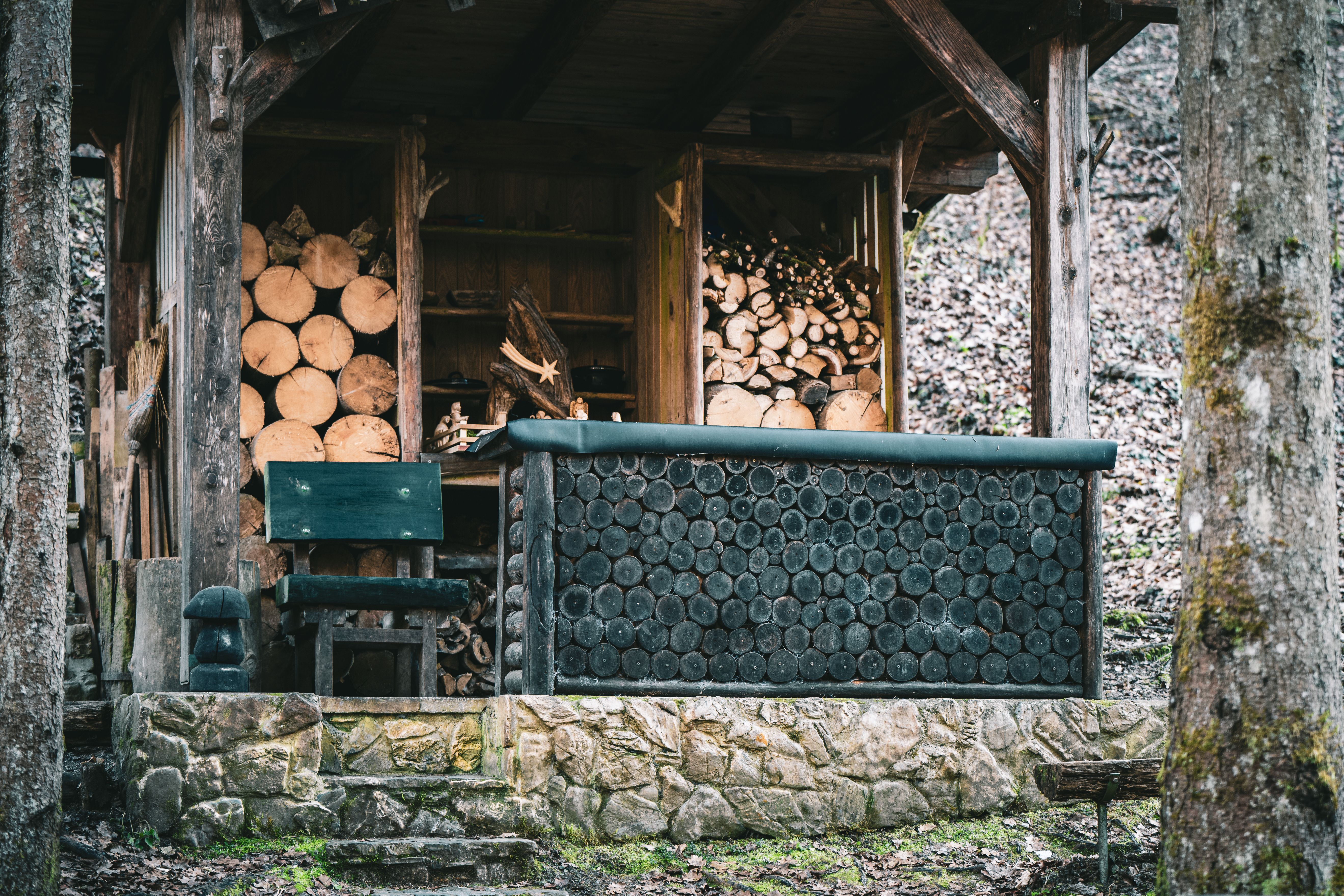Rustic Forest Cabin with Stacked Firewood · Free Stock Photo