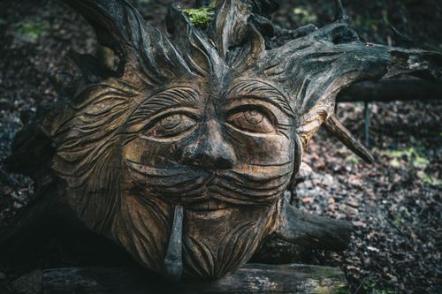 Free Detailed wood carving resembling a face in Suhadole, Slovenia forest. Stock Photo