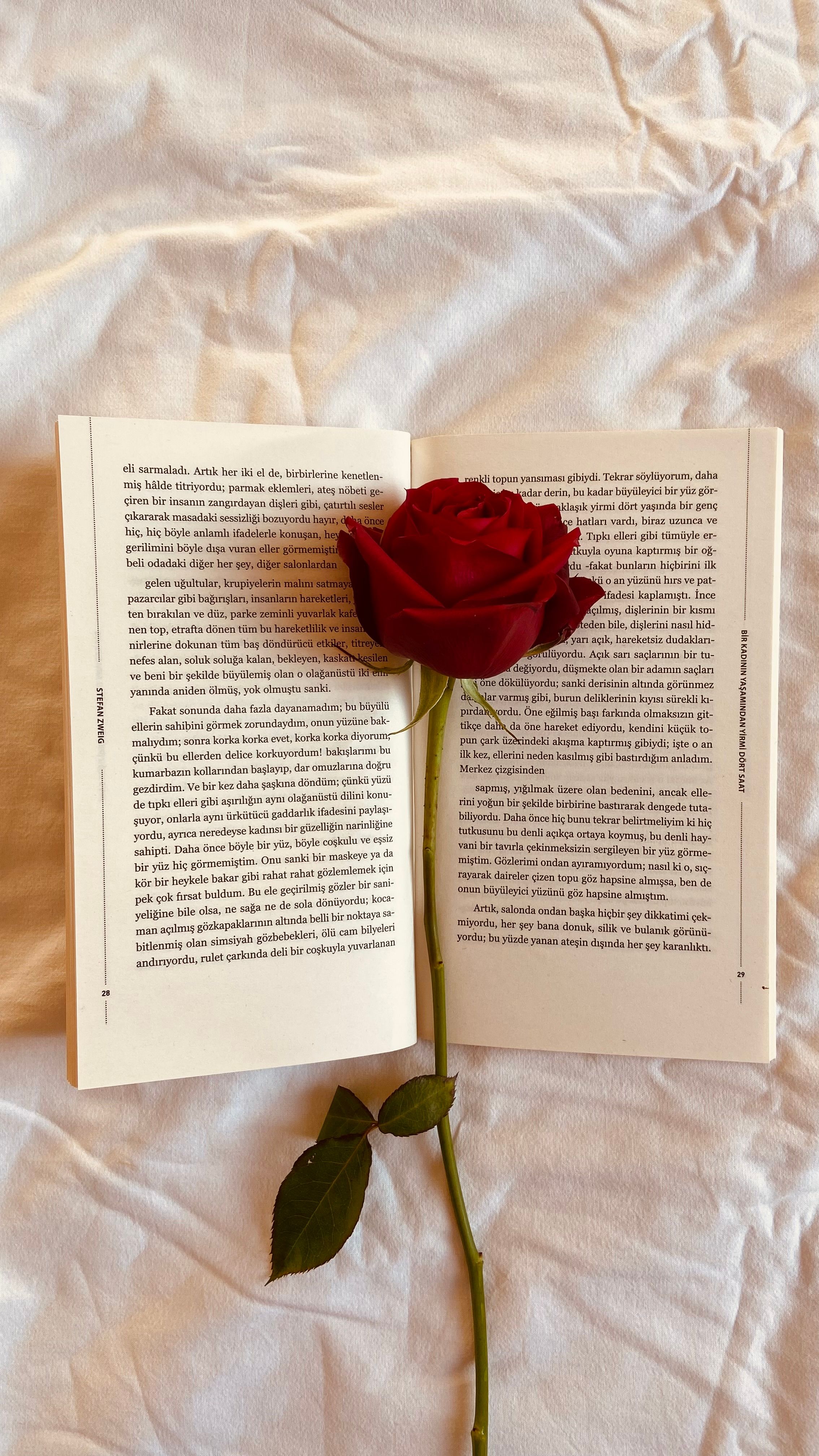Elegant red rose resting on an open book against a soft white fabric background.