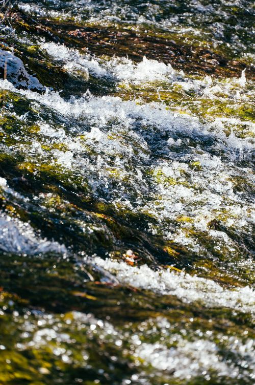 Free Dynamic close-up of water rushing over rocks in a clear, sunlit stream. Stock Photo