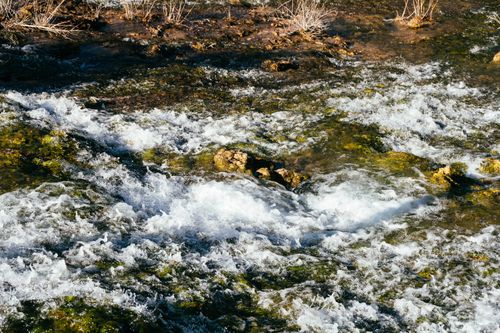 Free Captivating image of a flowing stream with clear water over moss-covered rocks, depicting nature's tranquility. Stock Photo