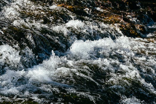 Close-up of a dynamic stream with clear water rushing over rocks.