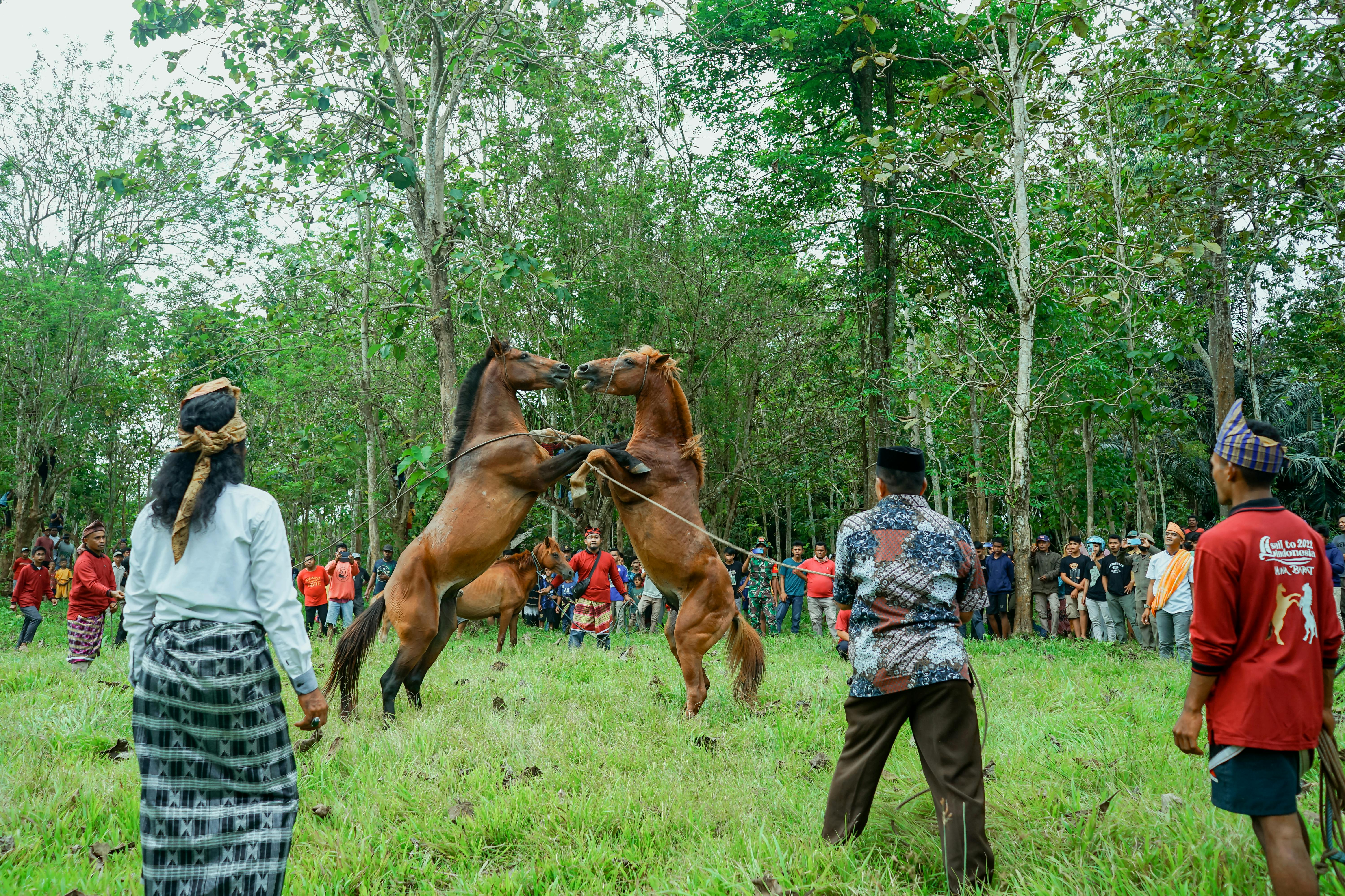 Unveiling Indonesia’s Hidden Islands Beyond Bali for Adventurers