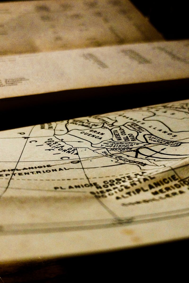 The Cartographer
