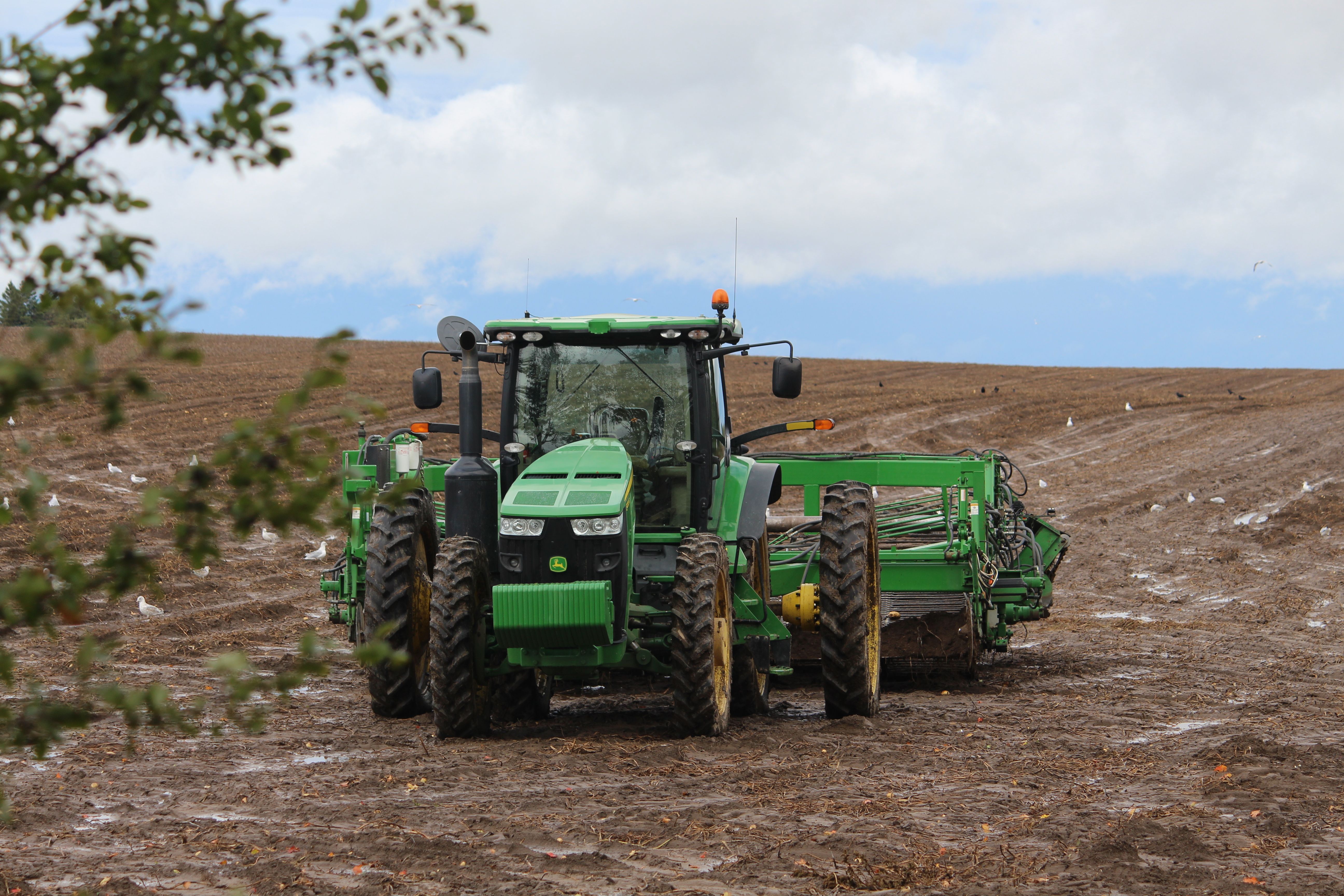 A large green tractor working on a plowed field. Capturing agricultural machinery and farming under cloudy skies.