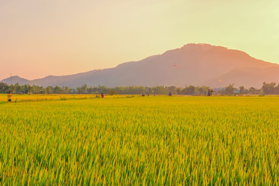 e-Visa Vietnam (90 jours) — Guide Complet pour S'installer au Vietnam
